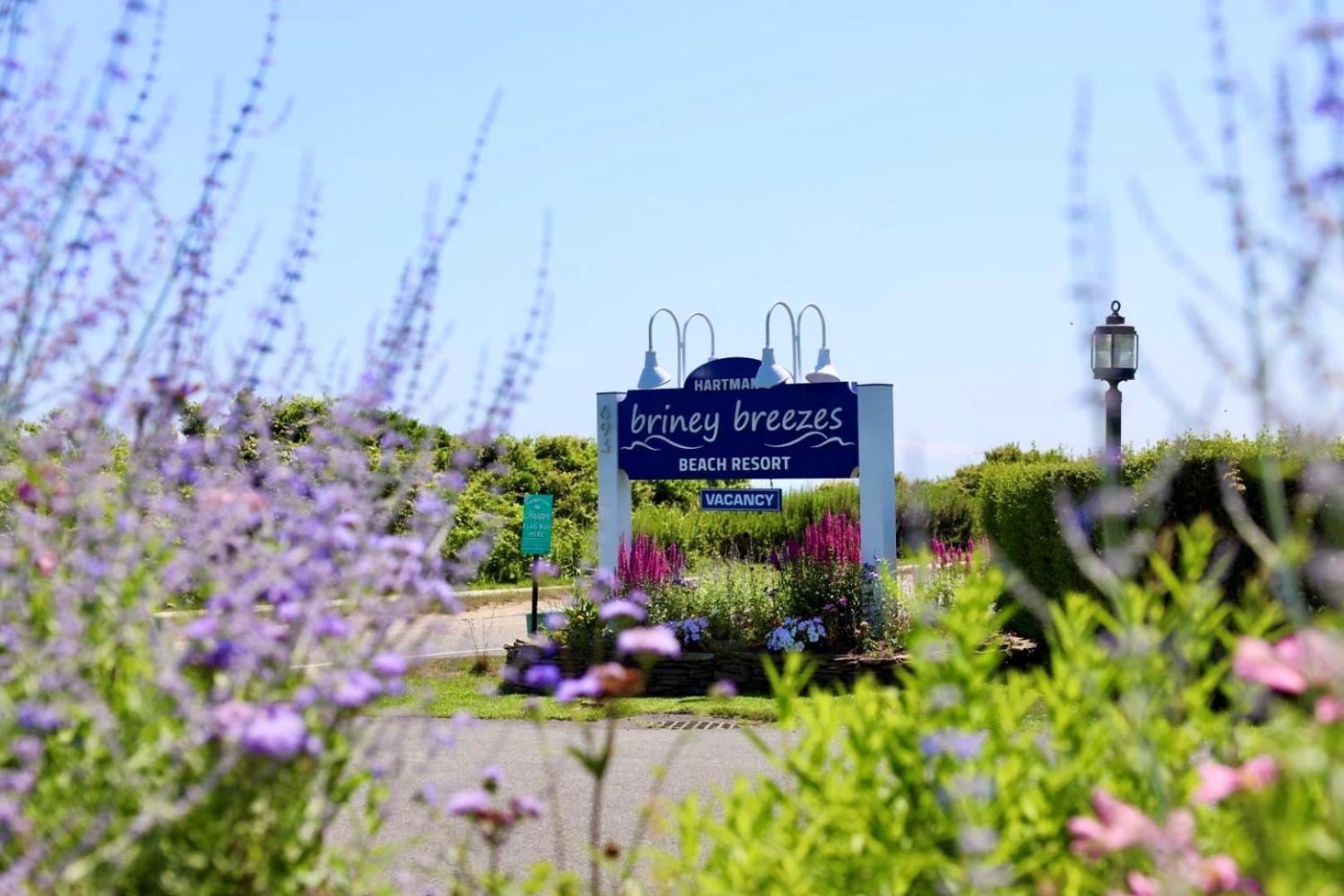 Hartman'S Briney Breezes Beach Resort Montauk Exterior photo